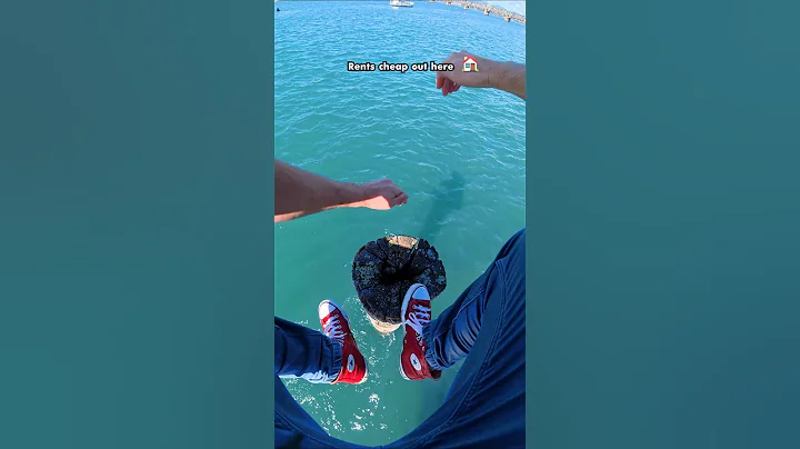 The North Sea Is Scary!? 😱