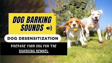 Desensitizing Sounds for dogs - BARKING SOUNDS - How to prepare your dog for boarding kennel