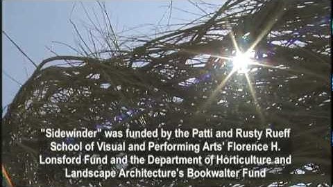 Art and science combine in organic sculpture