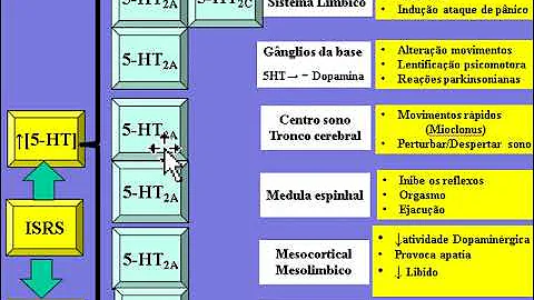 Como funciona o ISRS?