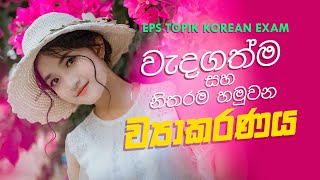Korean Grammar Sinhala | Epstopik 2023 2024 Exam Question