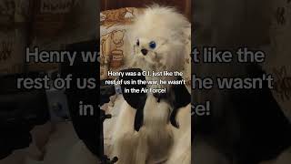 Edgars Accidental Shorts