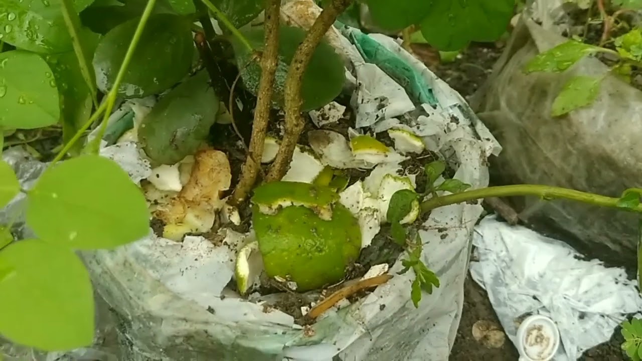 Techniques for compost made easy