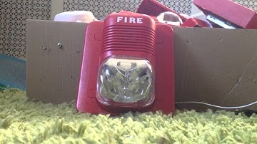 System Sensor P1224MC (SpectrAlert classic) Fire alarm test