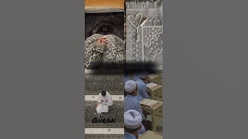 ربنا ولا تحملنا مالا طاقة لنا به عبد الباسط عبد الصمد تلاوة خاشعة ومؤثرة قران كريم 🤍🍁🕊️🕌