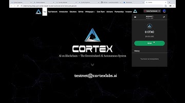 How to Deploy and Infer an AI Model on Blockchain - Cortex Testnet Cerebro