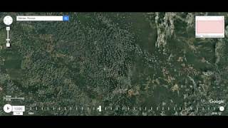 Вырубка лесов сибири(Иркутская область) при Путине