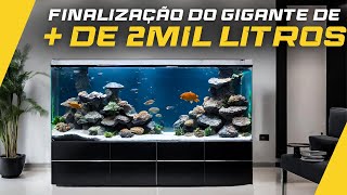 FINALIZAÇÃO DO AQUÁRIO GIGANTE EM ALPHAVILLE | NOVOS PEIXES + ENTREGA DO MÓVEL + ÚLTIMOS DETALHES!!