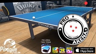 Pro Arena Table Tennis