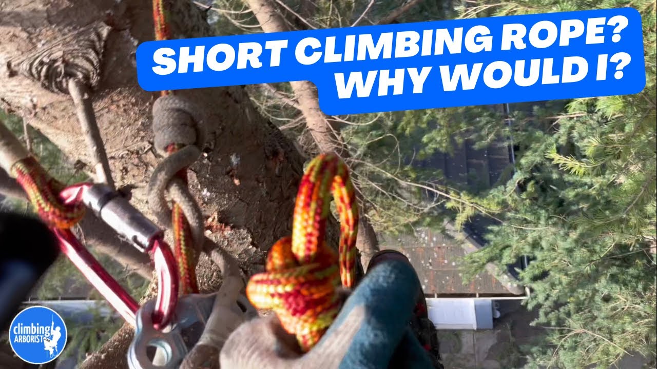 Basic tree climber tips: The benefits of using a short climbing
