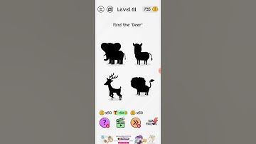 Level 61 Braindom - Solution  & Walkthrough On How to Solve