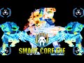 Smart coreexe