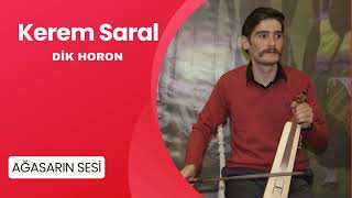 KEREM SARAL & DİK HORON PART 1 Resimi