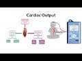 MIC: Cardiac Output Prediction on Pediatric Patients | D2K Showcase | Fall 2022 | Rice University