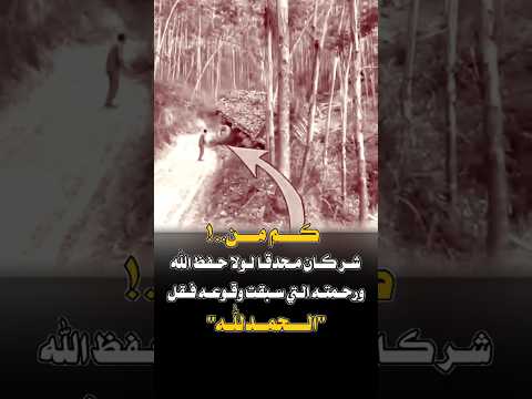 كم من شر كان محدقا لولا حفظ الله ورحمته التي سبقت تصاميم عبارات حالات وتس متابعه لايكي اكسبلاور