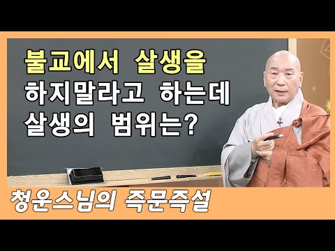 불교에서 살생을 하지말라고 하는데 살생의 범위 청운스님의 즉문즉설 