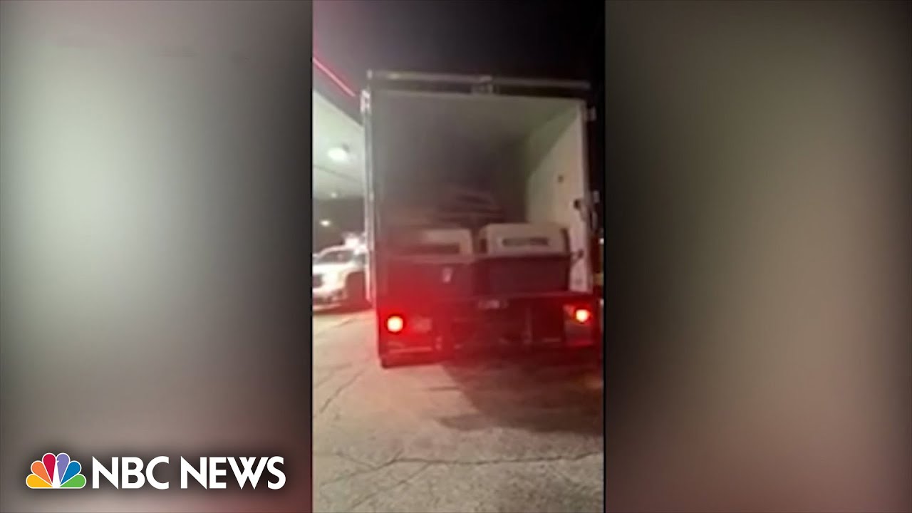 Multiple dogs being transported to K9 facility found dead after AC in truck fails