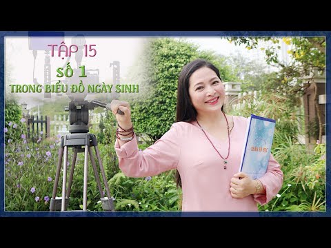 Tập 15: Số 1 Trong Biểu Đồ Ngày Sinh