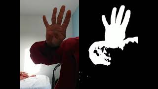 Famous Training palm(Hand) Segmentation using U2Net using 50 images. Net Worth