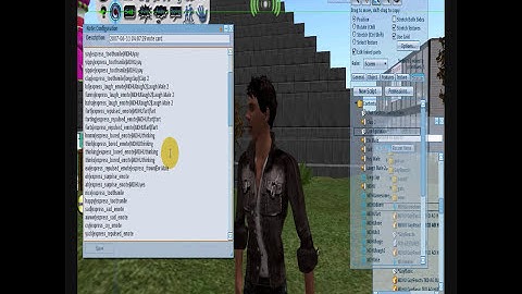 HOW to Edit Chat Gestures.wmv