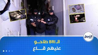 check point |  عناصر الشرطة تداهم أوكار الجريمة وتعتقل المجرمين بالحراش