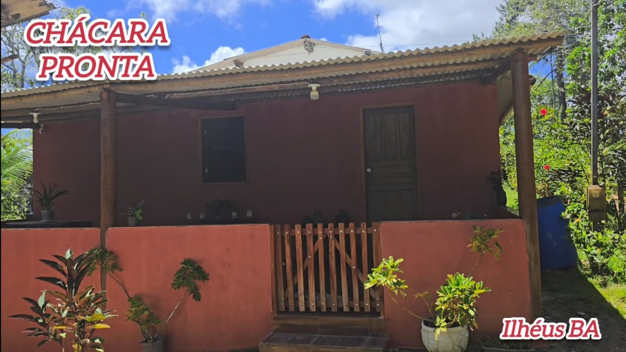 VENDIDA/CHÁCARA PRONTA,  COM CASA , CACAU PRODUTIVO , GALINHEIRO avendaemilheusba