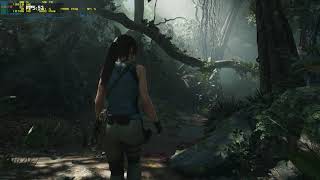Shadow of the Tomb Raider Ray Tracing Benchmark - RTX 2080 Ti