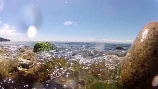 low tide waves