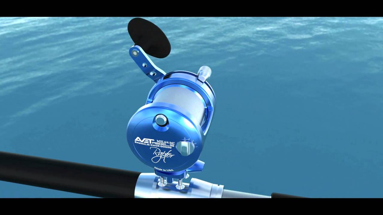  Avet Reels Saltwater