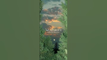 ما تيسر من سورة الزمر | بصوت القارئ الشيخ ياسر الدوسرى