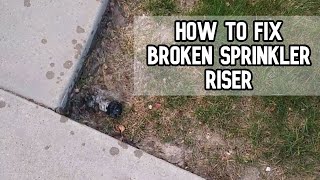 How to fix broken sprinkler riser DIY video #diy #sprinkler #riser #sprinklers #leaking