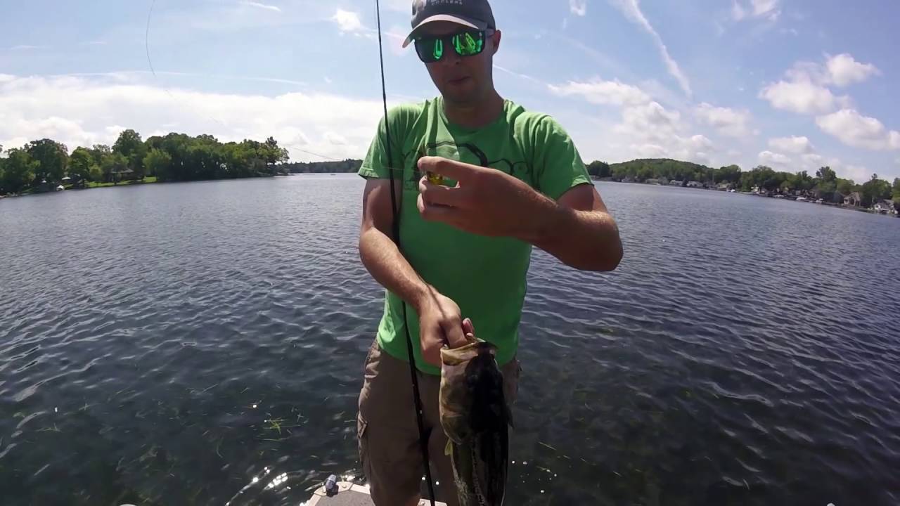 20160828 Lake Maceday YouTube