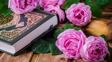 القرأن الكريم سورة هود القارء ميثم التمار