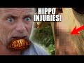 Surviving A Hippo Attack! | River Monsters