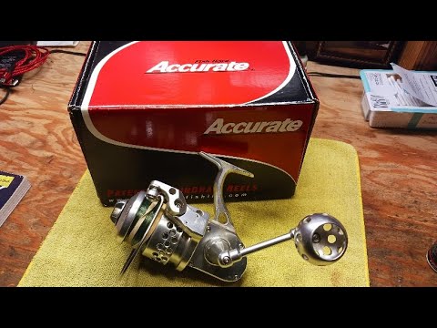 Accurate SR-20 Twin Spin Saltwater Spinning Reel Disassembly Service 