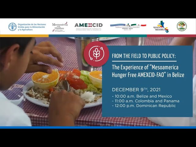 Webinar from the field to the public policy: The experience of "Mesoamerica Hunger Free AMEXCID-FAO"
