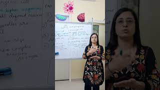 Prokaryotic vs Eukaryotic Cells | Key Differences in Minutes