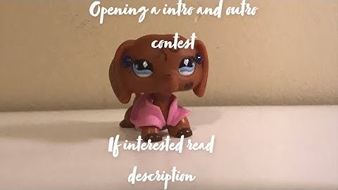 Opening a Intro and Outro contest |READ DESCRIPTION IF INTERESTED | #kearstanlpsintroconest