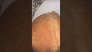 Knuckle Sandwiches #funny #comedy #hilarious #rap #tonygunnz  #hiphop #music #funny