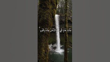 Quran Kareem story 🌸WhatsApp《 سوره مريم 》  أجمل قرائه قرآن كريم حالات واتس 🍃