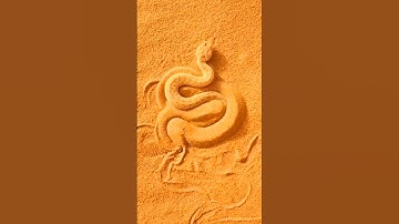 con rắn ẩn mình dưới lớp cát rất kỳ diệu