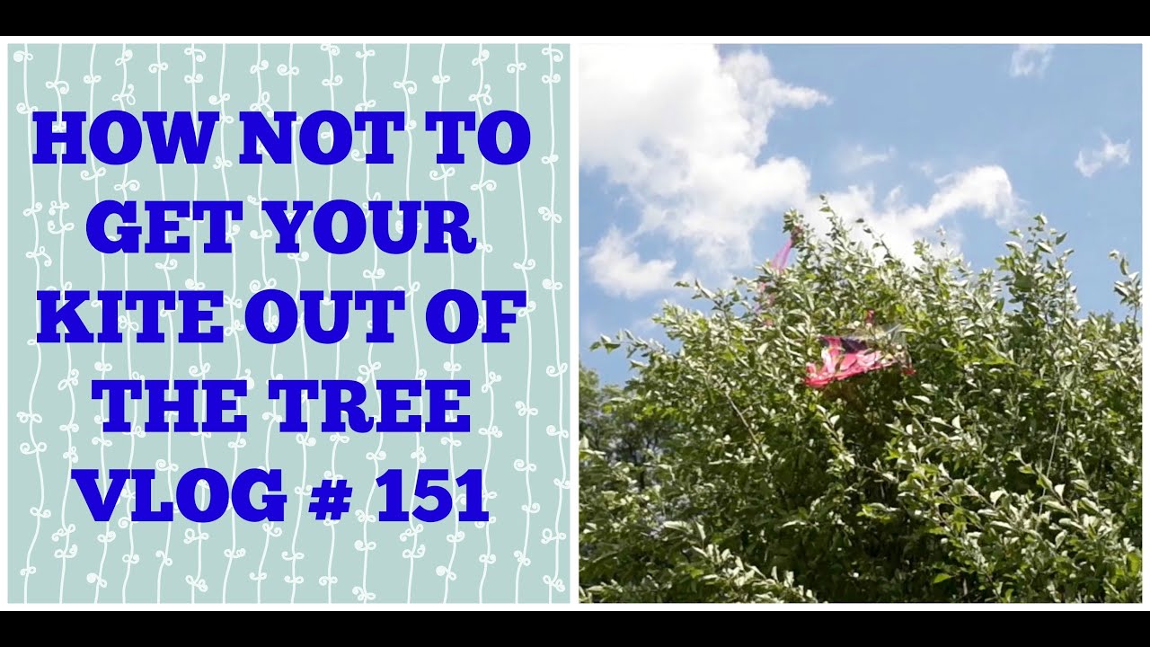 How Not To Get Your Kite Out Of The Tree