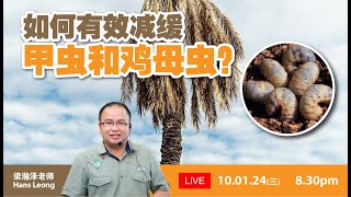 【Baba安全农药讲座】甲虫 鸡母虫困扰不断？农民快来get最强对策！| 如何有效减缓甲虫和鸡母虫？