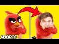 ANGRY BIRDS MOVIE WITH ZERO BUDGET Angry Birds Movie 2 FUNNY PARODY By LANKYBOX Shorts 