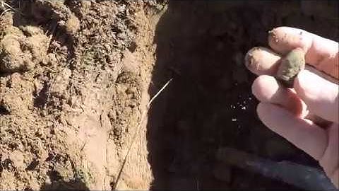 Tarsacci MDT 8000 vs Equinox 800 on a deep .58 cal minie