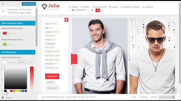 How To Edit Portfolio Single Page Settings From Theme Customize