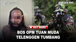 HABEMA's Terrifying Operation: Major Telenggen Falls in the Central Papuan Nereka Zone