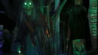 Spirit Swamp Tours InStore Video