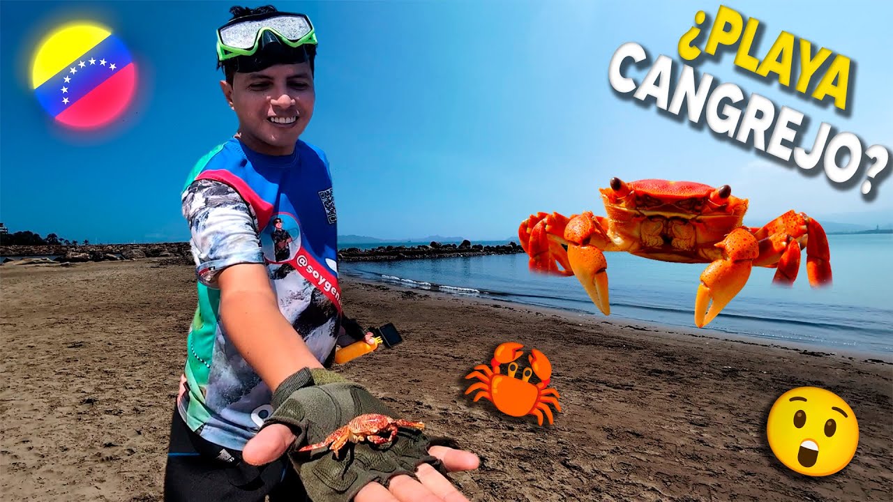 Vamos a la increible PLAYA CANGREJO EN LECHERIA 🦀🌊  