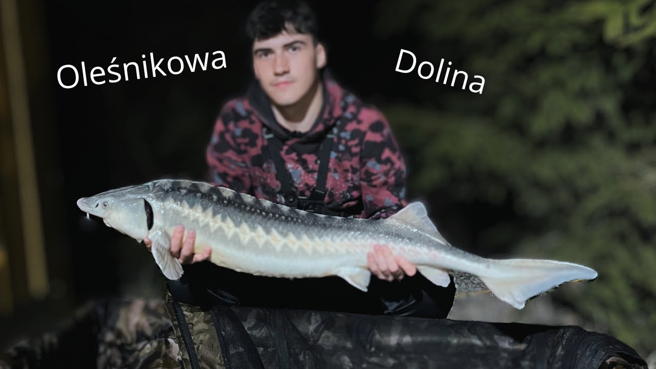 Oleśnikowa Dolina!!! Co to była za zasiadka